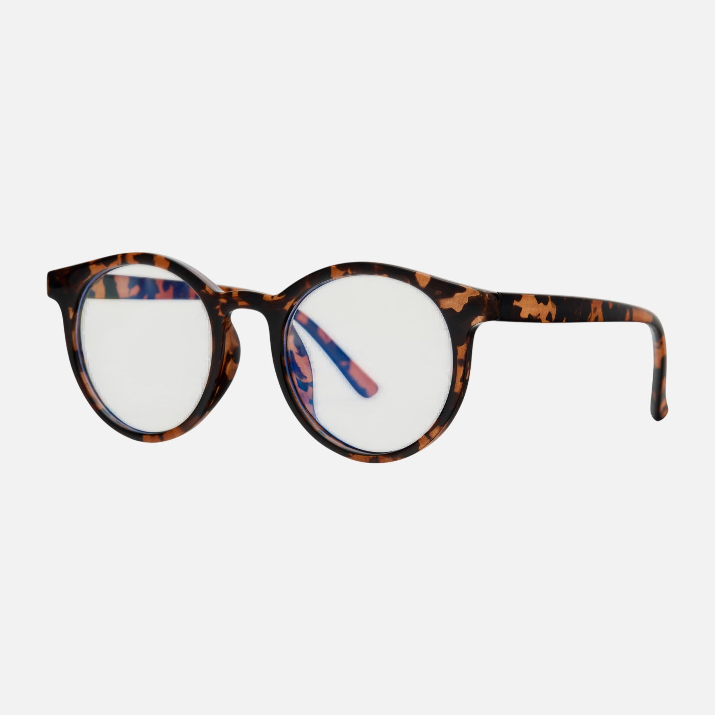 LONDON Tortoise